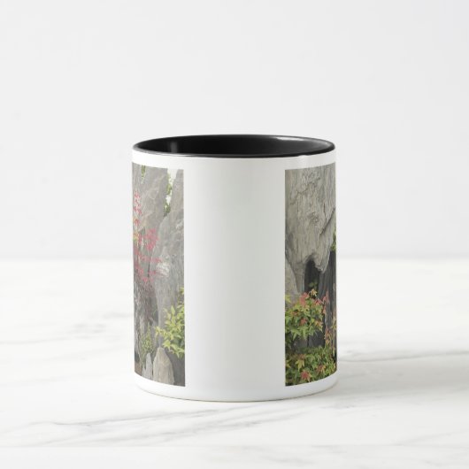 Bao's familie tuin, Huangshan, China. Mok (Midden)