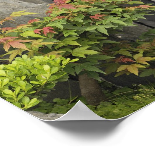 Bao's familie tuin, Huangshan, China. Poster (Hoek)