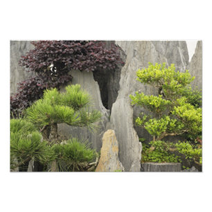 Bao's familietuin, Huangshan, China. 2 Foto Afdruk