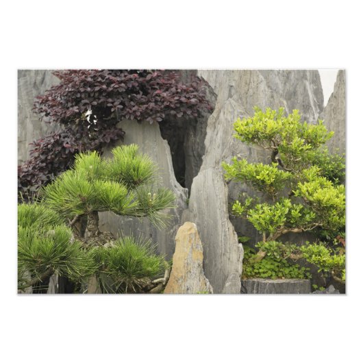 Bao's familietuin, Huangshan, China. 2 Foto Afdruk (Voorkant)