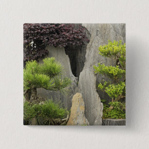 Bao's familietuin, Huangshan, China. 2 Vierkante Button 5,1 Cm