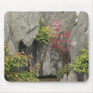 Bao's familietuin, Huangshan, China. Muismat