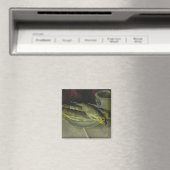 Baptisme van de Chamberlains Magneet (Insitu (Vaatwasser))
