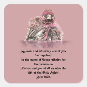 Baptismscripts 2:38 Kute Wet Finch Bird Vierkante Sticker
