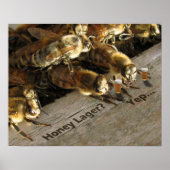 Bar bijen_Honey Lager? Poster (Voorkant)
