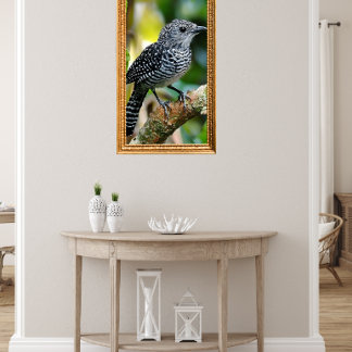 Bar-crested antshrike  poster