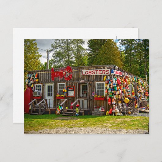 Bar Harbor Lobsters Briefkaart (Voorkant / Achterkant)