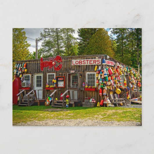 Bar Harbor Lobsters Briefkaart (Voorkant)