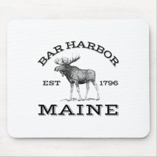 Bar Harbor Maine Eland Wandelen Buiten Acadia Nati Muismat