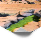 Bar Harbour Maine Thunder Hole Poster (Hoek)