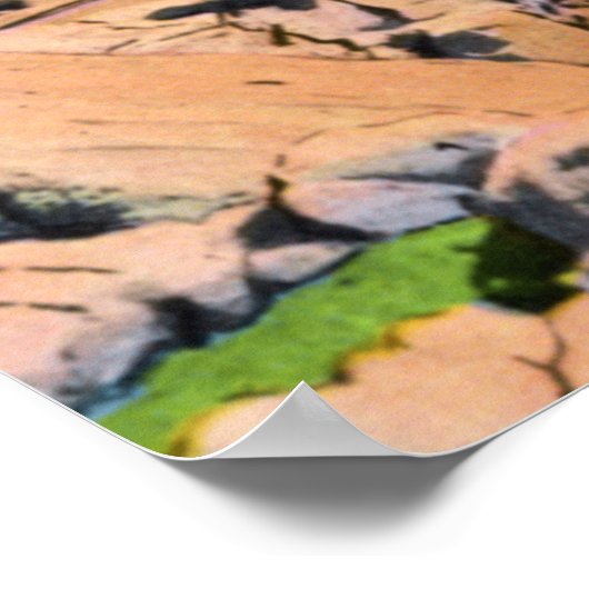 Bar Harbour Maine Thunder Hole Poster (Hoek)