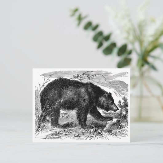 Bär in der Prärie Briefkaart (Staand voorkant)