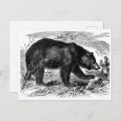 Bär in der Prärie Briefkaart (Voorkant / Achterkant)