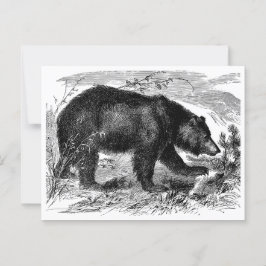 Bär in der Prärie Briefkaart