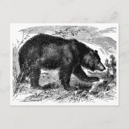Bär in der Prärie Briefkaart