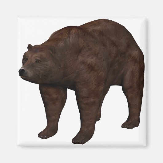 Bär Magneet (Voorkant)