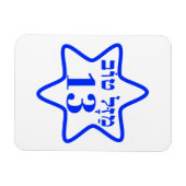 BAR MITZVAH, BARMITZVAH, BATMITZVAH, BAT MITZVAH, MAGNEET (Horizontaal)