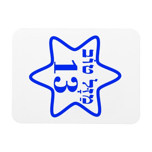 BAR MITZVAH, BARMITZVAH, BATMITZVAH, BAT MITZVAH, MAGNEET (Horizontaal)