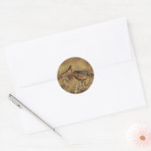 Bar-Tailed Godwit op Tundra Ronde Sticker (Envelop)