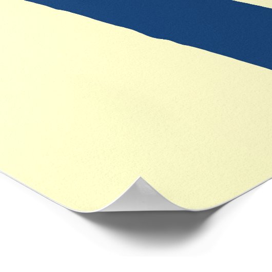 Barack Hussein Obama Poster (Hoek)