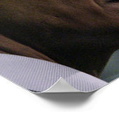 Barack Obama Hope Poster (Hoek)