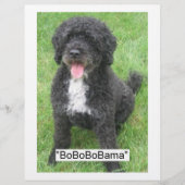 Barack Obama Portugese waterhond Flyer (Voorkant)