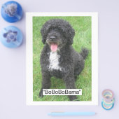 Barack Obama Portugese waterhond Flyer (Enkel)