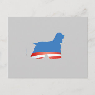 BARACKER SPANIEL BRIEFKAART