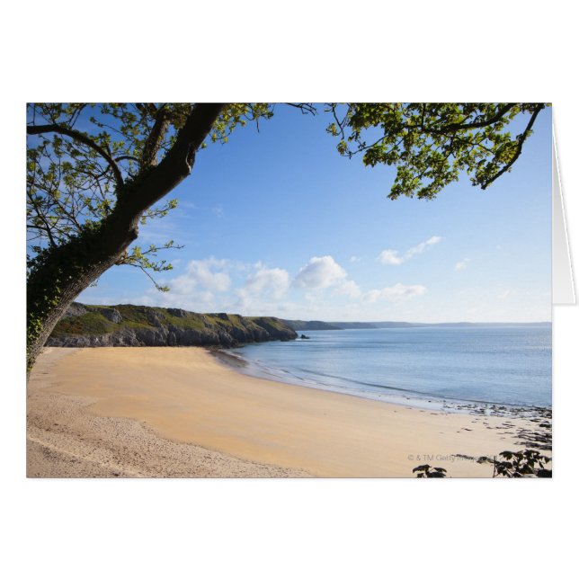 Barafundle Bay Pembroke Pembrokeshire Coast (Voorkant Horizontaal)