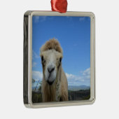 Baraka het Ornament van het glimlachende kamp (Rechts)