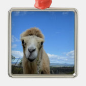 Baraka het Ornament van het glimlachende kamp (Voorkant)