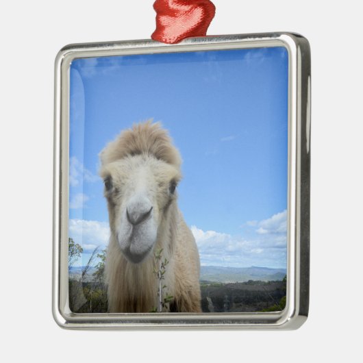 Baraka het Ornament van het glimlachende kamp (Links)