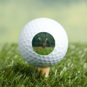 Barasingha Golfballen (Insitu Shirt)