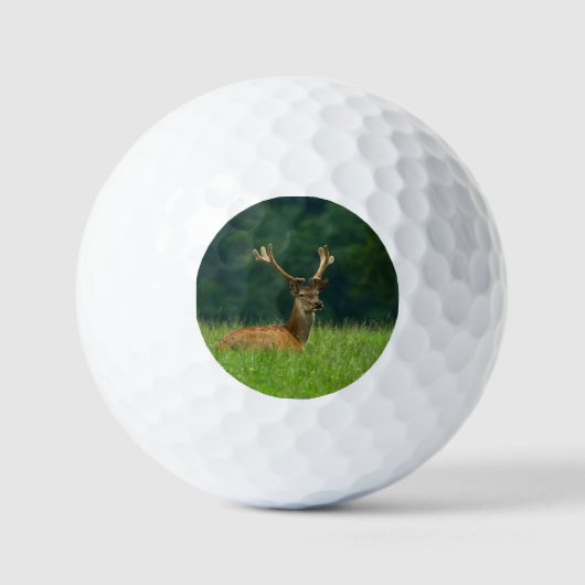 Barasingha Golfballen (Voorkant)
