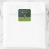 Barasingha Vierkante Sticker (Tas)