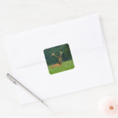 Barasingha Vierkante Sticker (Envelop)