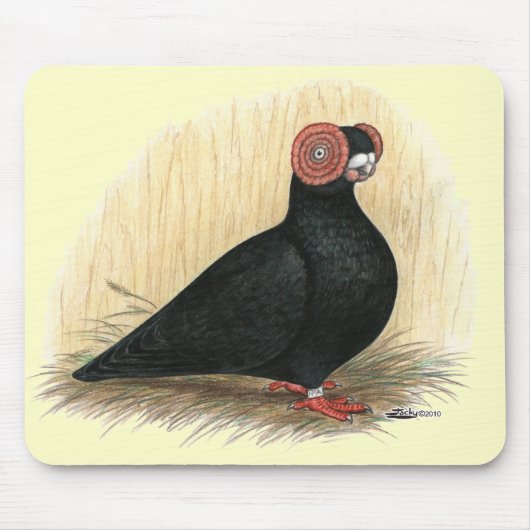 Barb Pigeon Standaard Zwart Muismat (Voorkant)