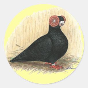 Barb Pigeon Standaard Zwart Ronde Sticker