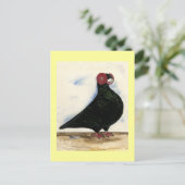 Barb Pigeon Waterverf Briefkaart (Staand voorkant)