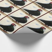 Barb Pigeon Waterverf Cadeaupapier (Hoek)