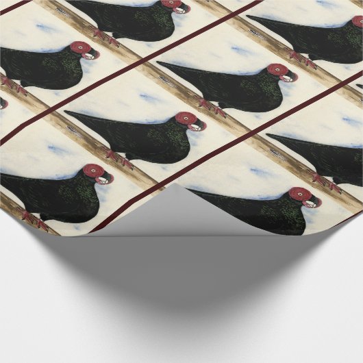 Barb Pigeon Waterverf Cadeaupapier (Hoek)