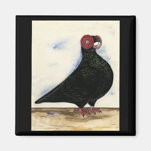 Barb Pigeon Waterverf Magneet (Voorkant)