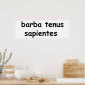 barba tenus sapientes poster (Keuken)