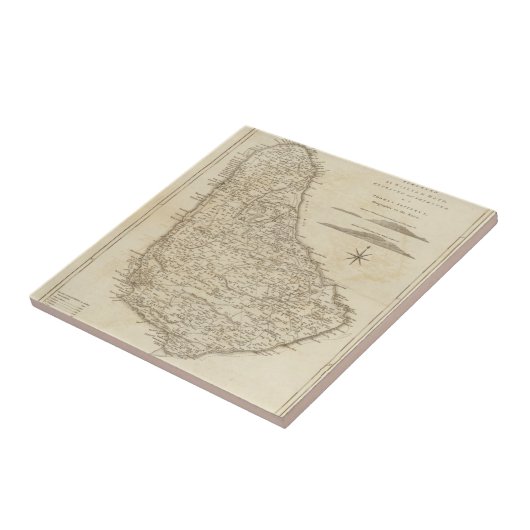 Barbado Tegeltje (Zijkant)