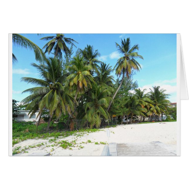 Barbados 2010 279 (Voorkant Horizontaal)