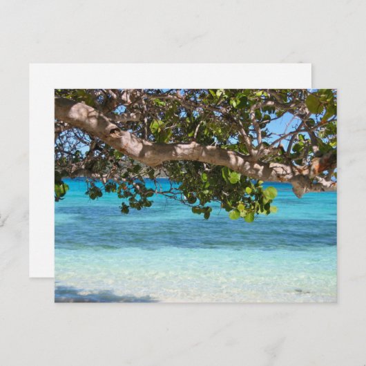 Barbados Beach landschap Briefkaart (Voorkant / Achterkant)