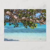 Barbados Beach landschap Briefkaart (Voorkant)