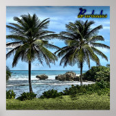 Barbados Beach Palm Trees Poster (Voorkant)