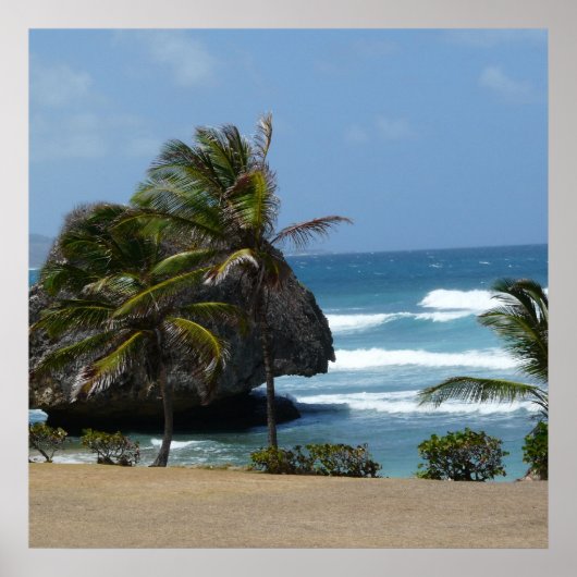 Barbados Beauty Poster (Voorkant)