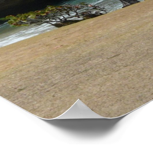 Barbados Beauty Poster (Hoek)